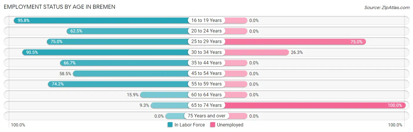 Employment Status by Age in Bremen
