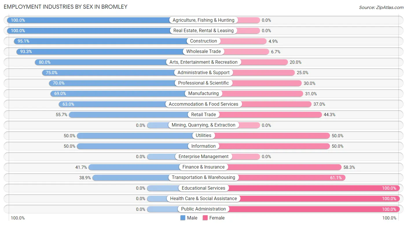 Employment Industries by Sex in Bromley