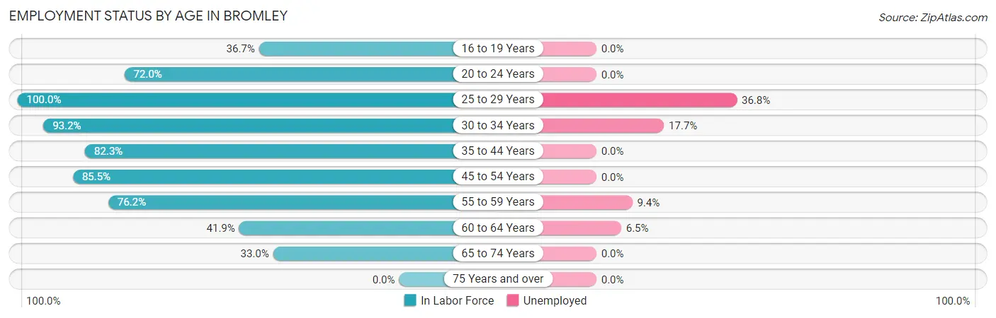 Employment Status by Age in Bromley