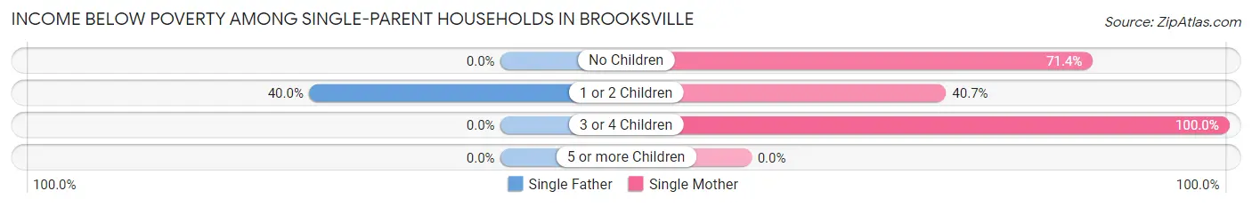 Income Below Poverty Among Single-Parent Households in Brooksville