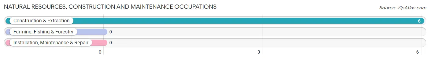 Natural Resources, Construction and Maintenance Occupations in Brooksville