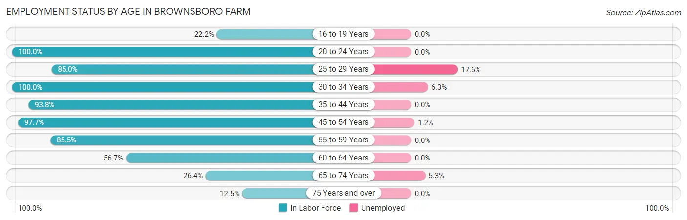 Employment Status by Age in Brownsboro Farm