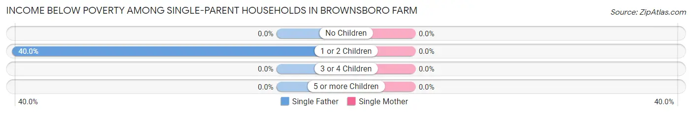 Income Below Poverty Among Single-Parent Households in Brownsboro Farm