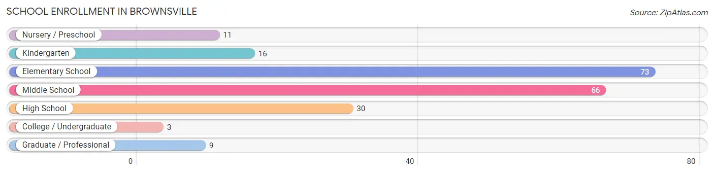 School Enrollment in Brownsville