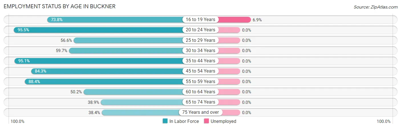 Employment Status by Age in Buckner