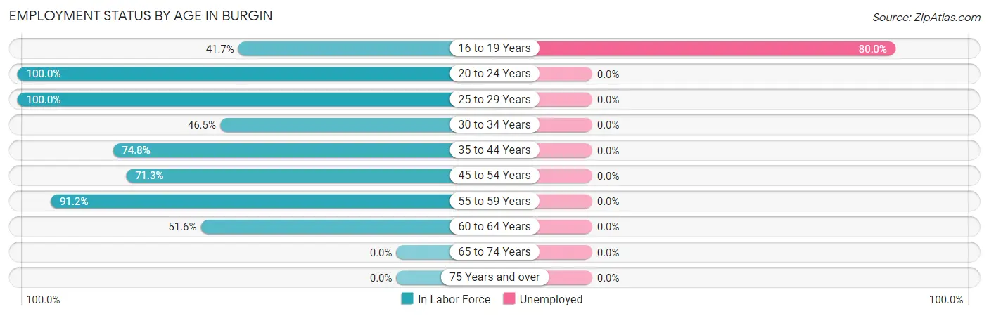 Employment Status by Age in Burgin