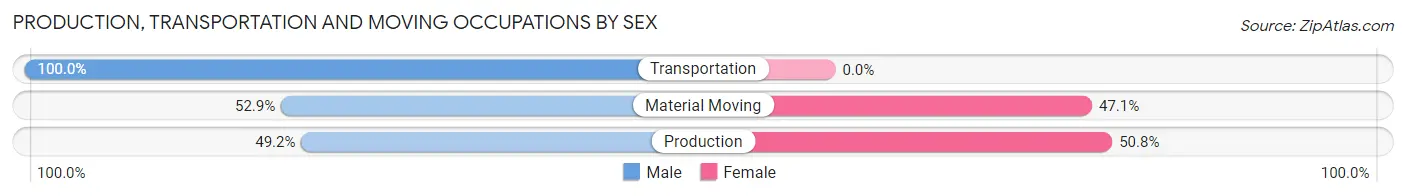 Production, Transportation and Moving Occupations by Sex in Burgin