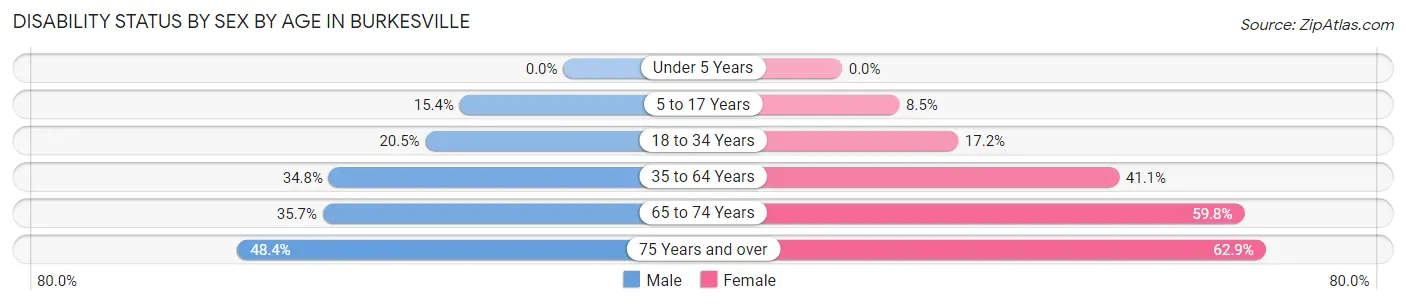 Disability Status by Sex by Age in Burkesville