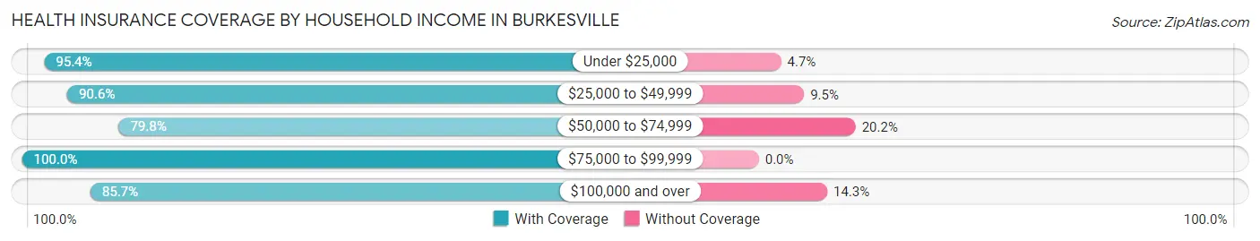 Health Insurance Coverage by Household Income in Burkesville