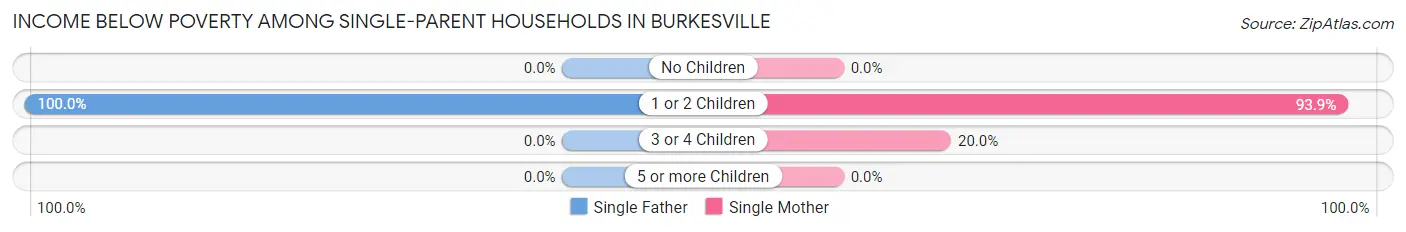 Income Below Poverty Among Single-Parent Households in Burkesville