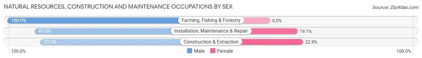 Natural Resources, Construction and Maintenance Occupations by Sex in Burkesville