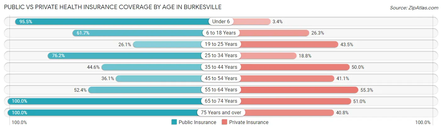 Public vs Private Health Insurance Coverage by Age in Burkesville