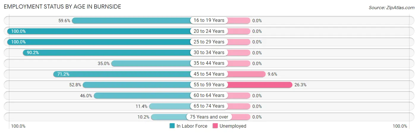 Employment Status by Age in Burnside