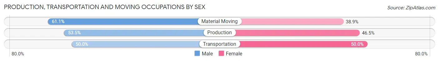 Production, Transportation and Moving Occupations by Sex in Cadiz