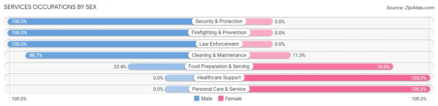 Services Occupations by Sex in Cadiz