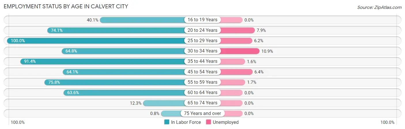 Employment Status by Age in Calvert City