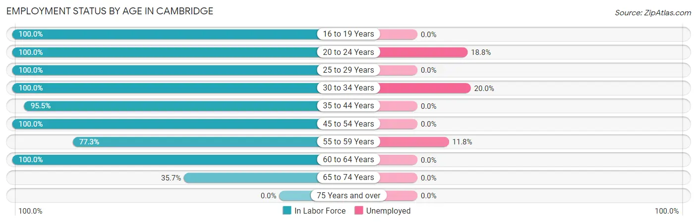 Employment Status by Age in Cambridge