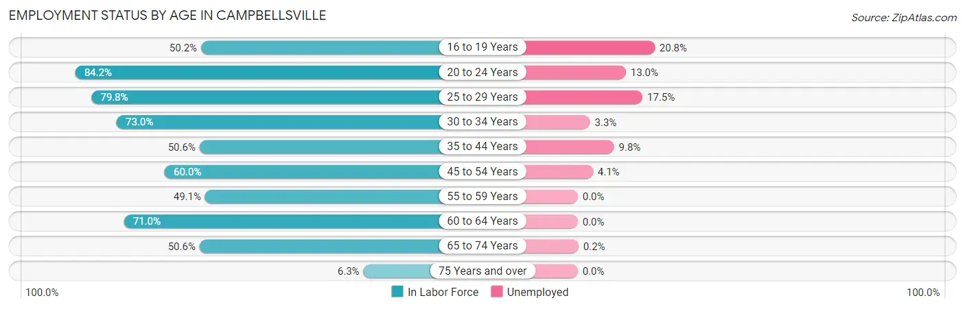 Employment Status by Age in Campbellsville