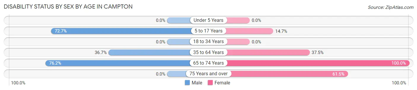 Disability Status by Sex by Age in Campton