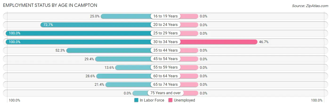 Employment Status by Age in Campton