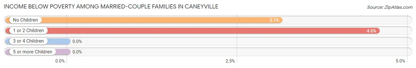 Income Below Poverty Among Married-Couple Families in Caneyville
