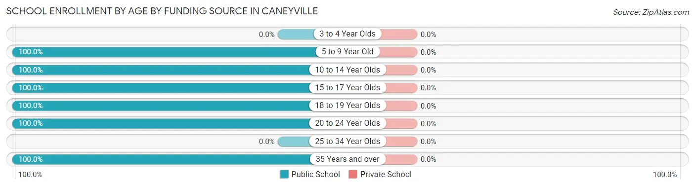 School Enrollment by Age by Funding Source in Caneyville