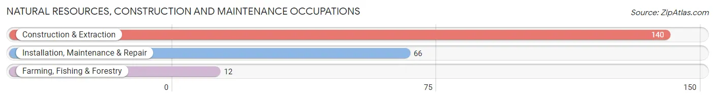 Natural Resources, Construction and Maintenance Occupations in Carlisle