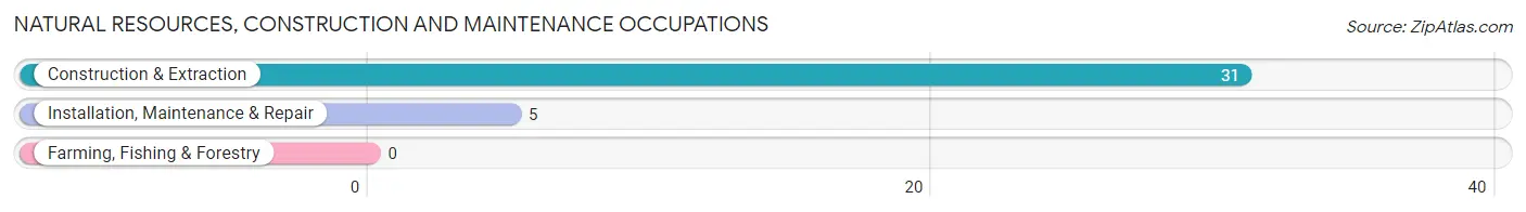 Natural Resources, Construction and Maintenance Occupations in Catlettsburg