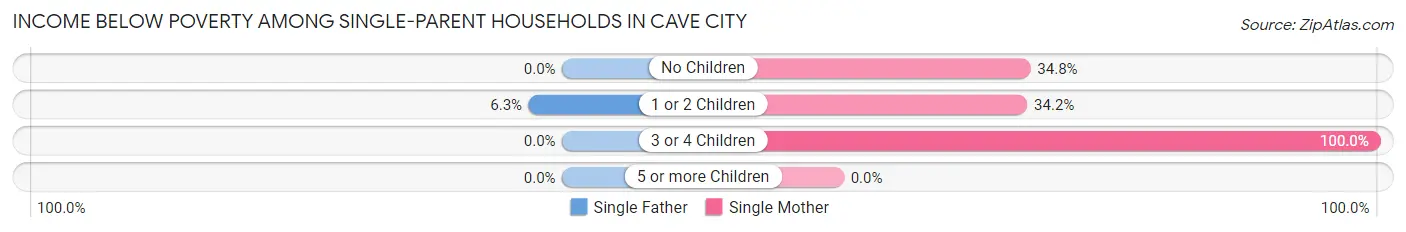 Income Below Poverty Among Single-Parent Households in Cave City