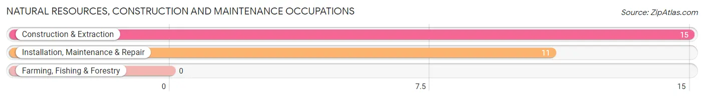 Natural Resources, Construction and Maintenance Occupations in Centertown