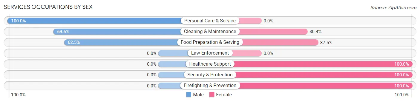 Services Occupations by Sex in Clarkson