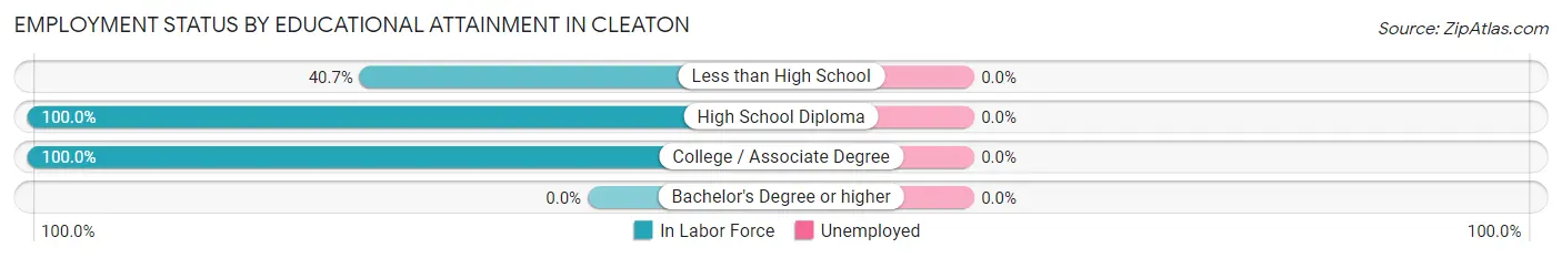 Employment Status by Educational Attainment in Cleaton