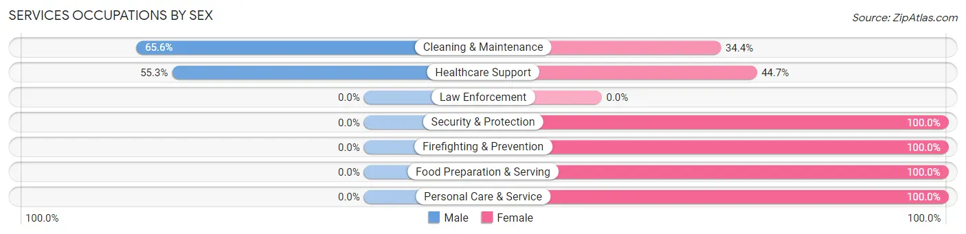 Services Occupations by Sex in Clinton