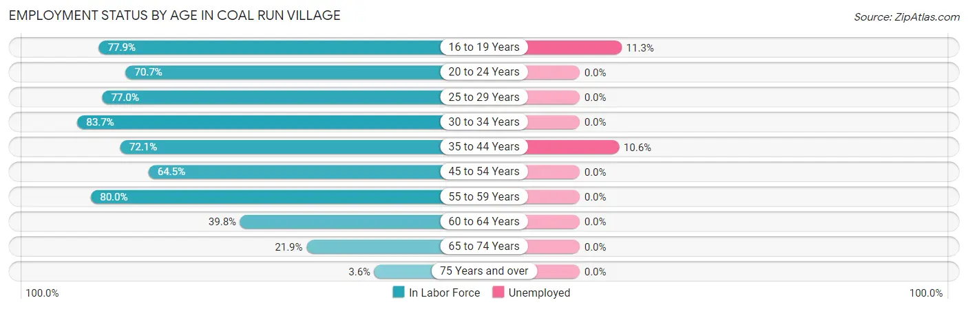 Employment Status by Age in Coal Run Village