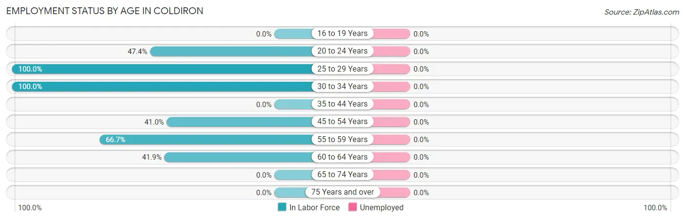 Employment Status by Age in Coldiron