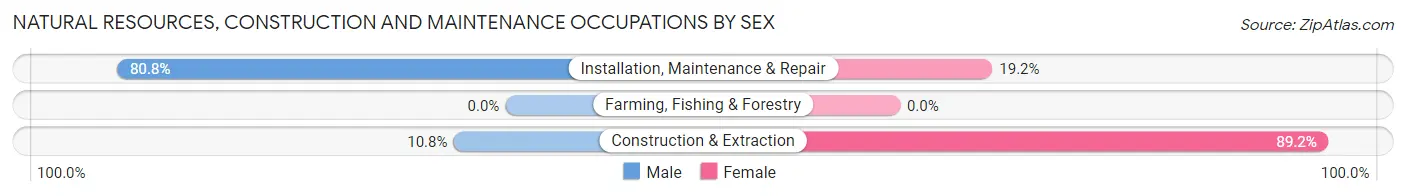 Natural Resources, Construction and Maintenance Occupations by Sex in Crittenden