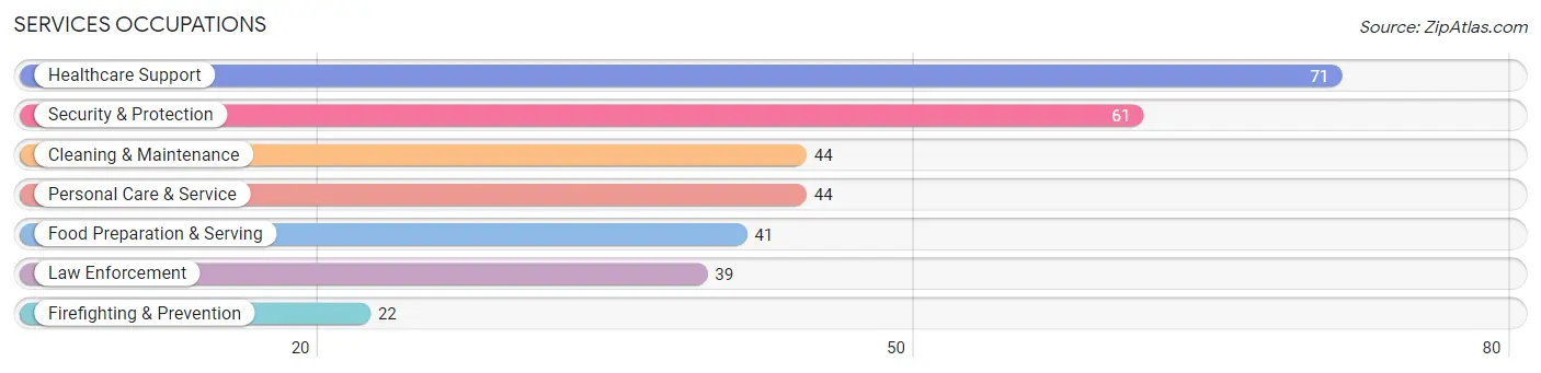 Services Occupations in Crittenden