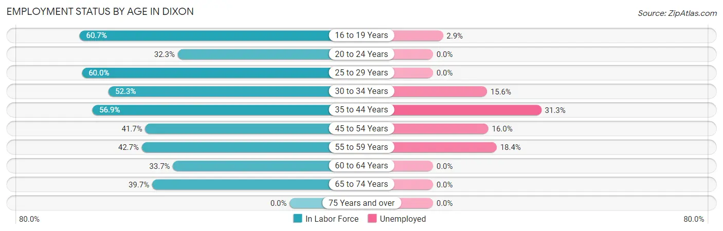 Employment Status by Age in Dixon