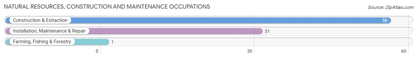 Natural Resources, Construction and Maintenance Occupations in Dixon