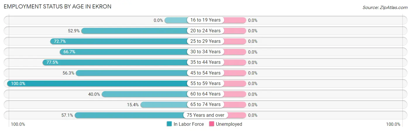 Employment Status by Age in Ekron