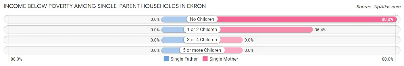 Income Below Poverty Among Single-Parent Households in Ekron