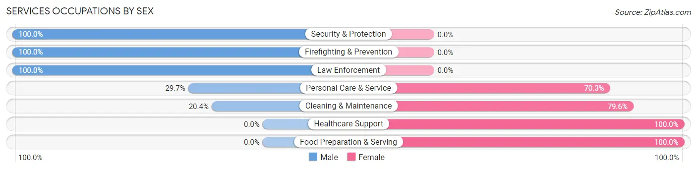 Services Occupations by Sex in Elk Creek