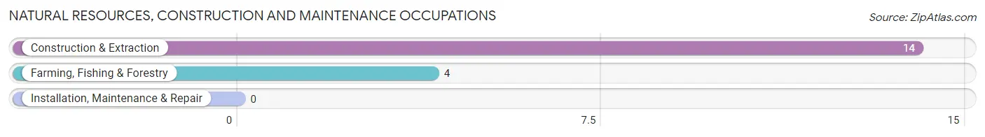Natural Resources, Construction and Maintenance Occupations in Elkton