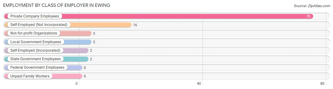 Employment by Class of Employer in Ewing