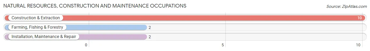 Natural Resources, Construction and Maintenance Occupations in Ewing
