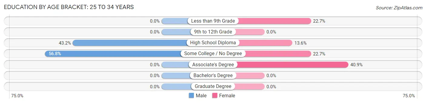 Education By Age Bracket in Ferguson: 25 to 34 Years
