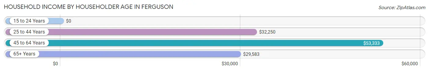 Household Income by Householder Age in Ferguson