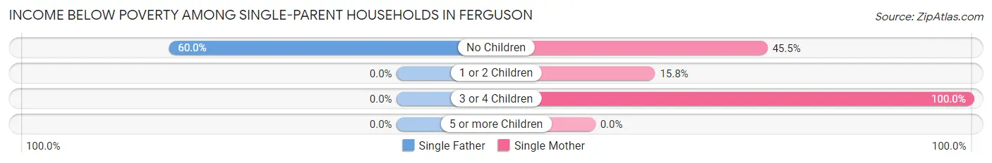 Income Below Poverty Among Single-Parent Households in Ferguson