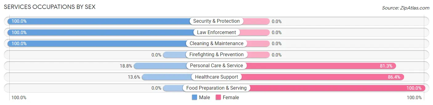 Services Occupations by Sex in Fleming Neon
