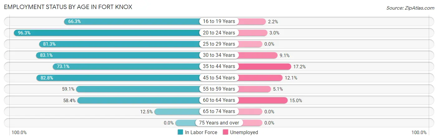Employment Status by Age in Fort Knox